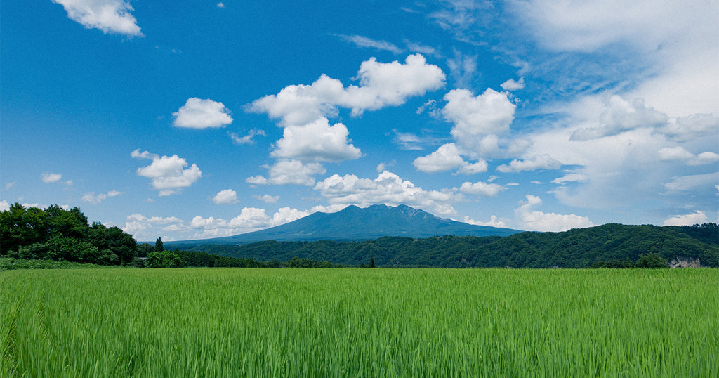 サイトリニューアルのお知らせ